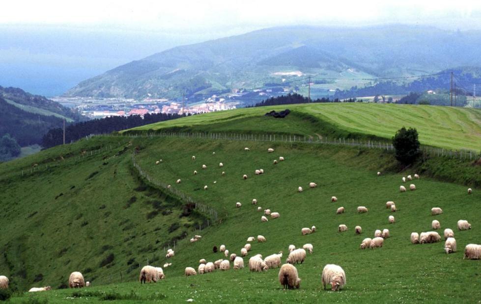 Aia Casa Rural Orortegi المظهر الخارجي الصورة